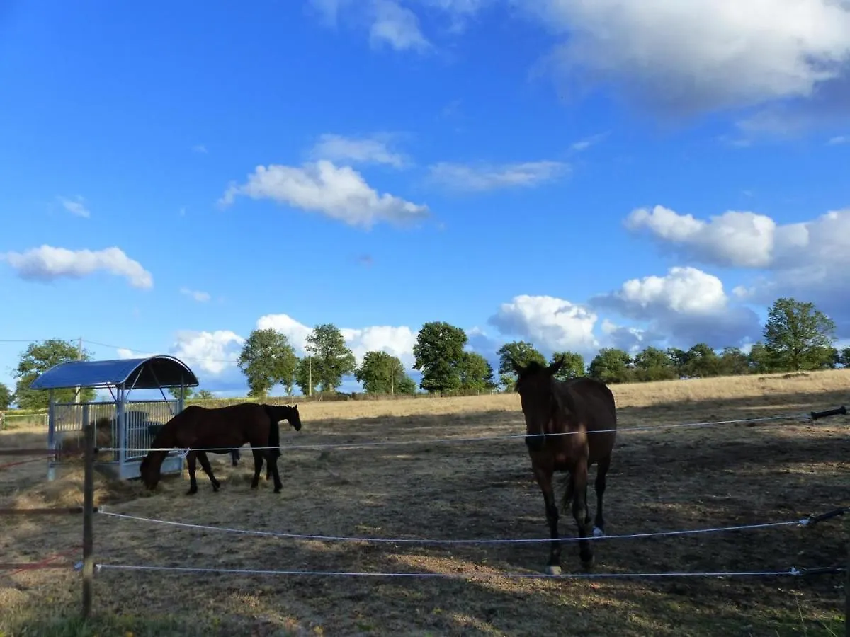 Prázdninový dům Gite Familial Avec Terrasse A La Ferme, Proche Montlucon, Ideal Pour 4 Pers, Draps Et Serviettes Inclus - Fr-1-489-431 Sauvagny